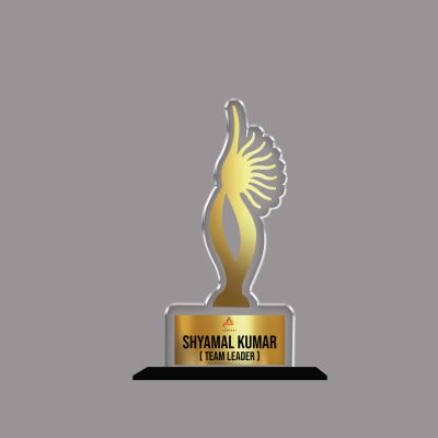 Personalized Corporate Recognition Award  Custom Acrylic Trophy with Name and Designation, Unique Gift for Team Leaders, Managers, Corporate Appreciation and Employees